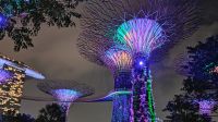 Rhapsodie Show, Gardens by the bay Singapur 