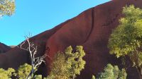 Uluru (Spuren des Kampfes, Einkerbungen am Felsen)