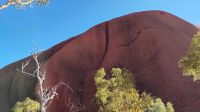 Uluru (Spuren des Kampfes, Einkerbungen am Felsen)