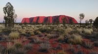 Sonnenaufgang am Uluru 