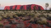 Sonnenaufgang am Uluru 