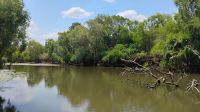 Yellow Water River Bootsfahrt, Kakadu Nationalpark 