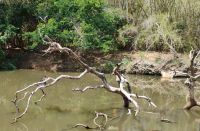 Yellow Water River Bootsfahrt, Kakadu Nationalpark 