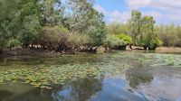 Yellow Water River Bootsfahrt, Kakadu Nationalpark 