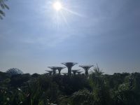 Gardens by the Bay Singapur