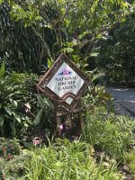 Botanischer Garten Singapur
