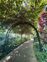 Botanischer Garten Singapur