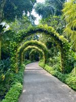 Botanischer Garten Singapur