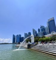 Stadtrundfahrt Singapur: Merlion