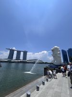 Stadtrundfahrt Singapur: Merlion