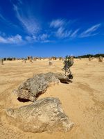 Perth: Pinnacles Nationalpark