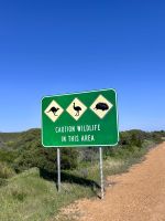 Perth: Straßenschild Achtung: wilde Tiere