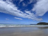 Ausflug Great Ocean Road