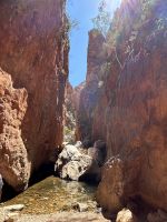 Alice Springs: Standley Chasm