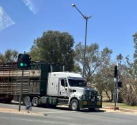 Outback: Road Train