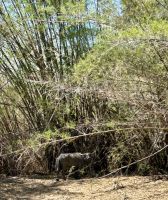 Ausflug: Kakadu Nationalpark: Bootsfahrt auf dem Yellow River