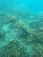 Cairns: Great Barrier Reef