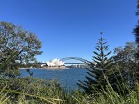 Sydney: Aussicht auf die Skyline von Sydney