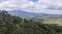 Kuranda Skyrail, Queensland