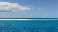 Michaelmas Cay, Great Barrier Reef 