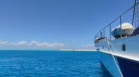 Zum Schnorcheln und Baden auf Michaelmas Cay 
