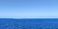 Bye bye! Michaelmas Cay, Great Barrier Reef 