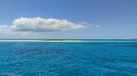 Michaelmas Cay, Great Barrier Reef 