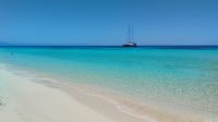 Michaelmas Cay, Great Barrier Reef 