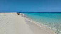 Michaelmas Cay, Great Barrier Reef 