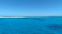 Michaelmas Cay, Great Barrier Reef 