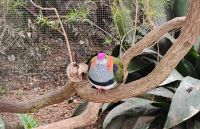 Featherdale Sydney Wildlife Park