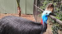 Featherdale Sydney Wildlife Park