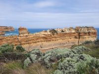 der Razorhead - Rasierklinge