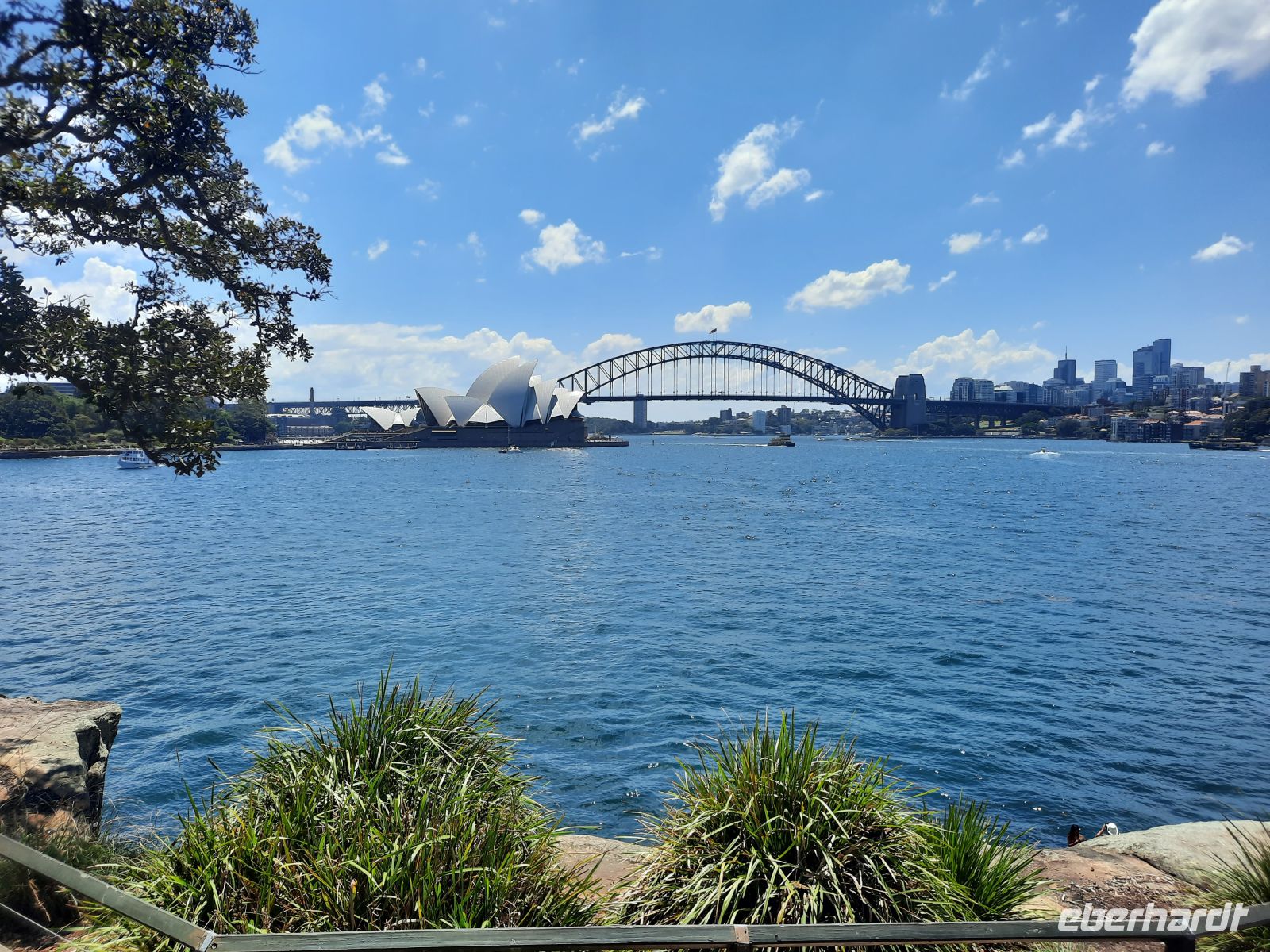 Blick auf Oper und Harbourbridge