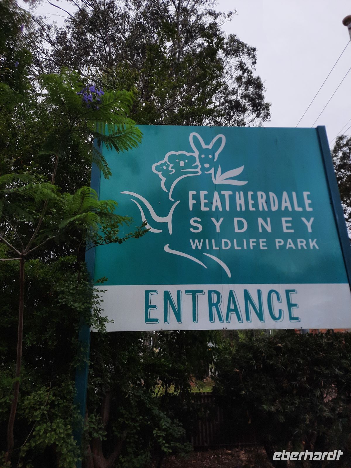 Besuch des Fetherale Wildlife Park