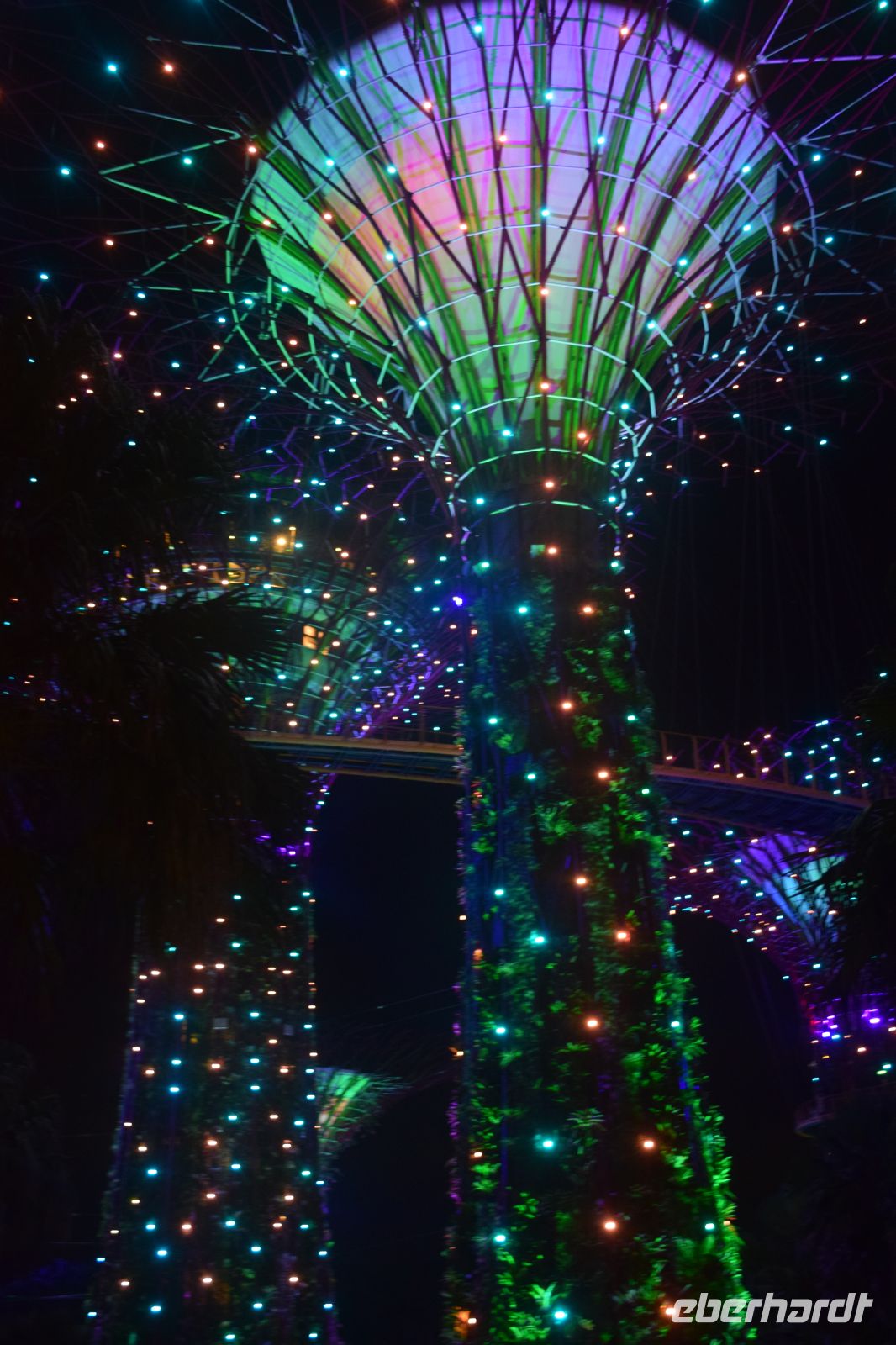 Lichtshow auch an den Supertrees