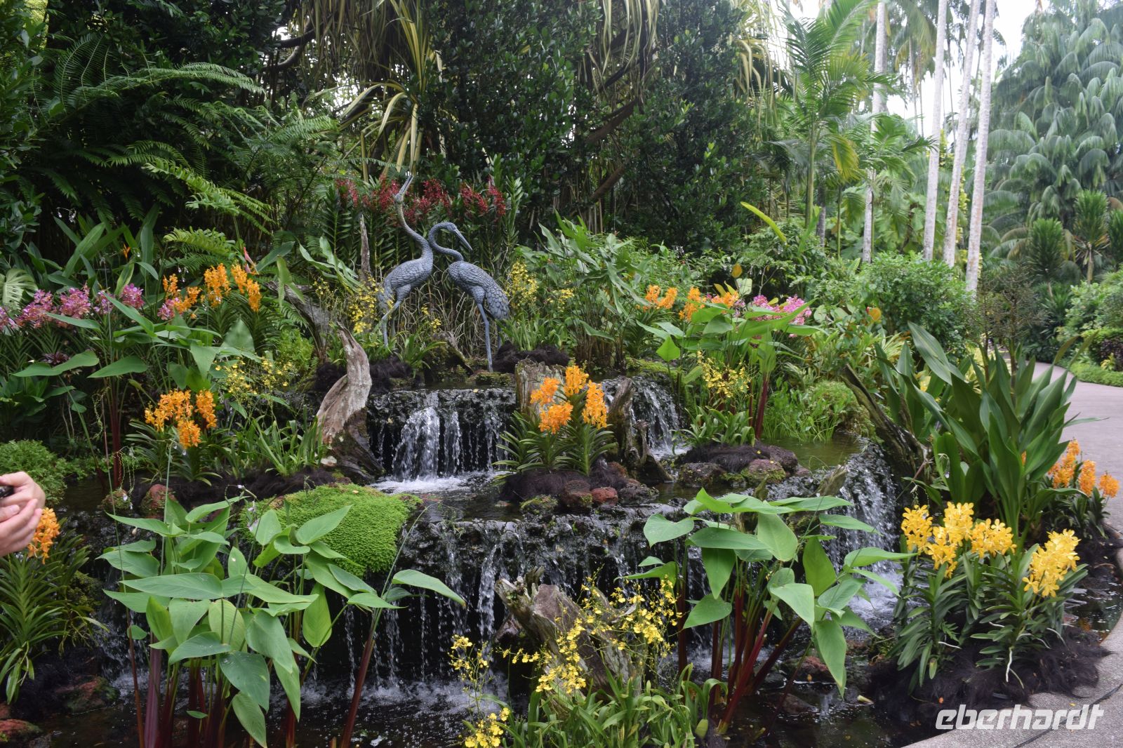 beherbergt 60.000 Orchideenpflanzen