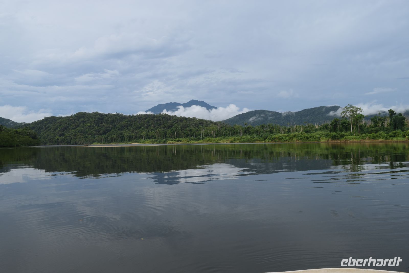 Regenwald wohin man schaut