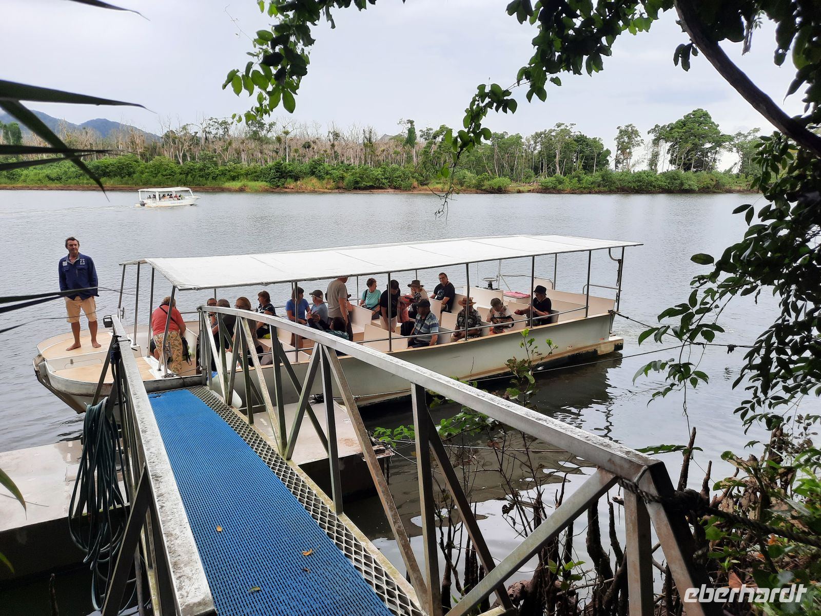 Schifffahrt auf dem Daintree-River