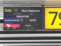 Rückflug nach Singapur