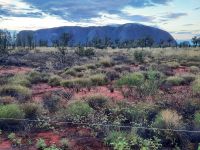 wolkenverhangener Uluru