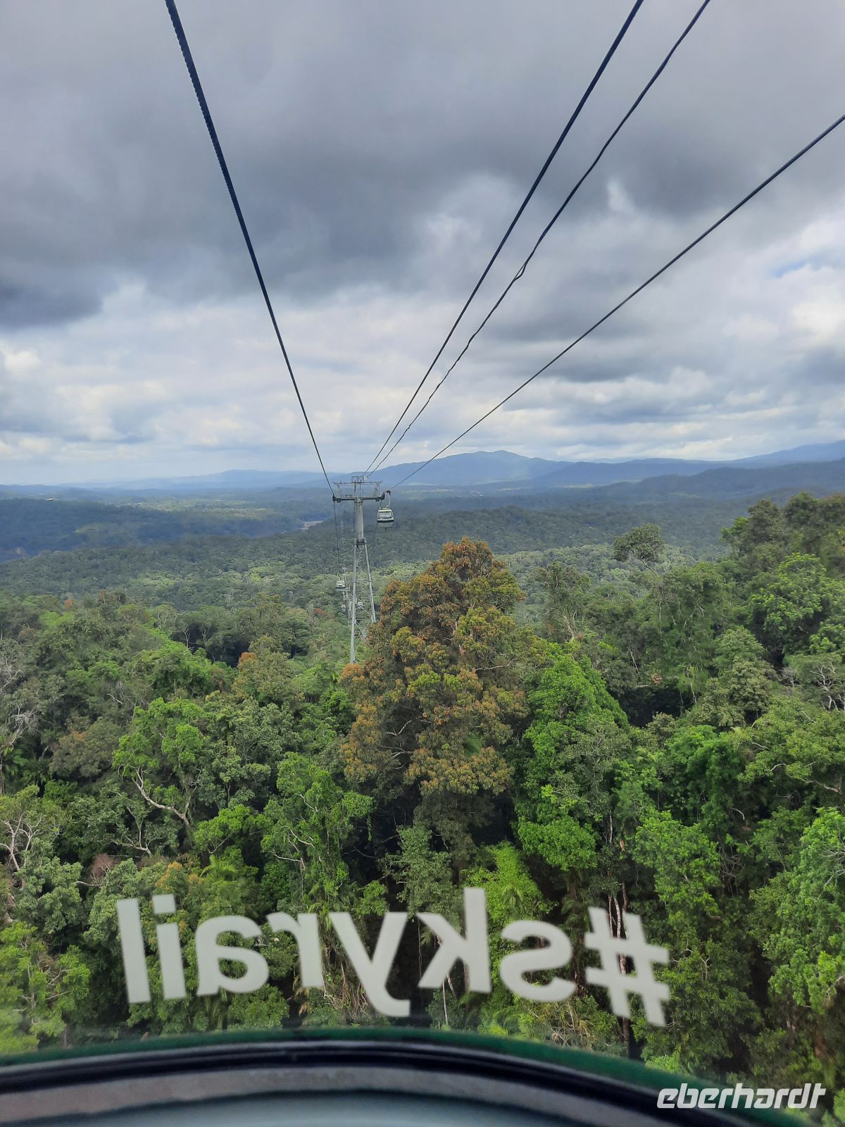 Fahrt über den Regenwald mit dem Skyrail