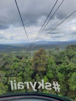 Fahrt über den Regenwald mit dem Skyrail