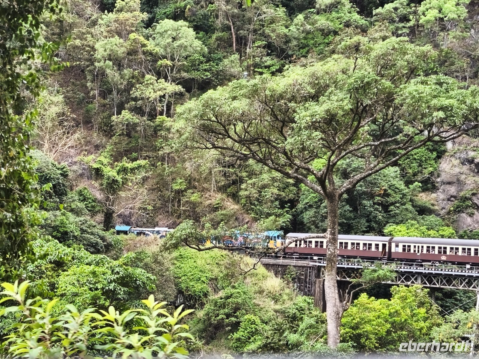 impossante Zugfahrt nach Cairns