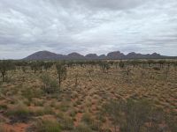 Ausblick auf die Kata Tjutas &ndash; &copy; Gunter Looß (Eberhardt TRAVEL)