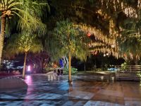 nächtliche Impression von Cairns &ndash; &copy; Gunter Looß (Eberhardt TRAVEL)