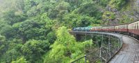 246 zurück nach Cairns
