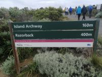 Panoramastraße Great Ocean Road, The Razorback &ndash; &copy; Andrey Kulikov (Eberhardt TRAVEL)