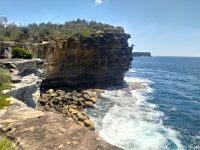 Stadtrundfahrt durch Sydney, Watsons Bay im Gap Park &ndash; &copy; Andrey Kulikov (Eberhardt TRAVEL)