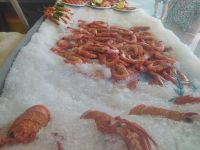 Stadtrundfahrt durch Sydney, Mittagsessen am Bondi Beach &ndash; &copy; Andrey Kulikov (Eberhardt TRAVEL)